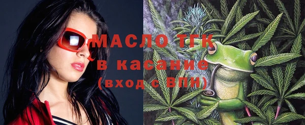 spice Дмитриев