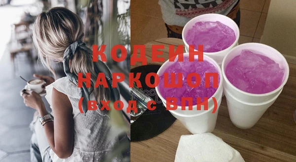spice Дмитриев