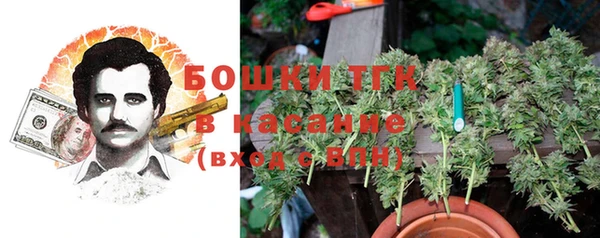 spice Дмитриев