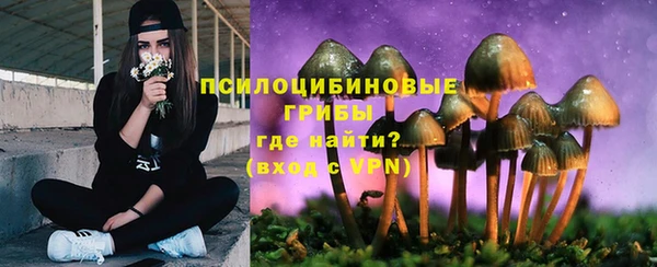 spice Дмитриев