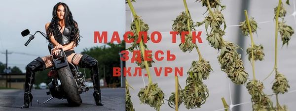 экстази Ельня