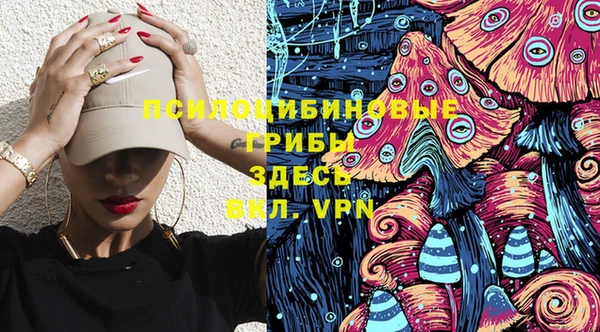 spice Дмитриев