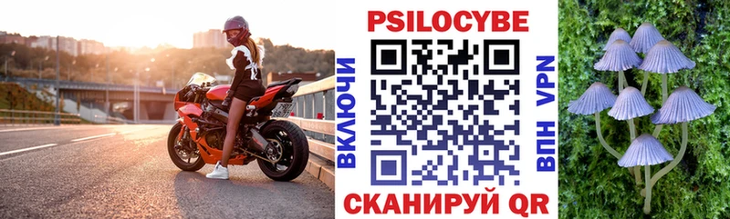 Купить  Усть-Илимск  Галлюциногенные грибы прущие грибы 
